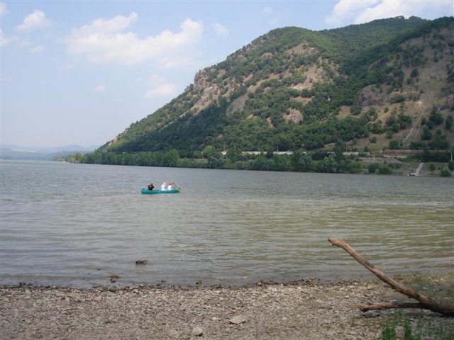 DSC05930 (Medium)